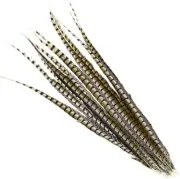 10 Pcs LADY AMHERST PHEASANT Feathers 30-40" Top Quality!! Craft/Hats/Costume