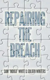 在飛比找博客來優惠-Repairing the Breach