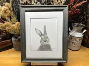Drawing of a cute Bunny Rabbit Hare Graphite Pencil Art Sketch Picture Print