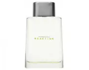 Reaction By Kenneth Cole 100ml Edts Mens Fragrance