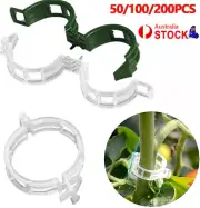 50-200x Tomato Greenhouse Ties Veggie Plant Support Clips Garden trellis StakeRH