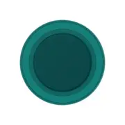 O-Popsockets Magsafe PopGrip fresh Pine Soft Touch