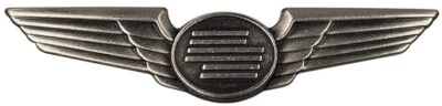 USA 3000 - Flight Attendant Wing