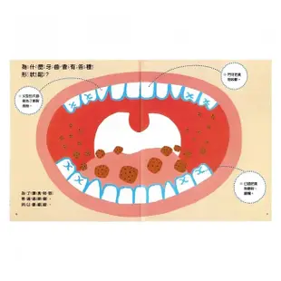 臺灣麥克 探索身體的奧祕：牙齒和嘴巴的奧秘 / 食物的奧祕