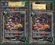 Giratina V Alt Art 186/195 CGC BGS Display Extended Art for Graded Pokemon Slab