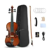 5 String Electric Violin 4/4 Maple Spruce Ebony Fittings Free Case Violin Bow