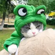 Frog Friends Hoodie - Plush Pet Hoodie for Cats & Small Dogs