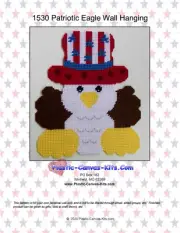 Patriotic Eagle Wall Hanging-Plastic Canvas Pattern or Kit