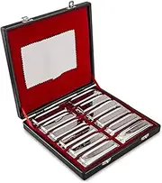 SWAN Harmonica Set 12 Keys 10 Hole 20 Tones Harmonica Blues Mini Harmonica for Adult, Professional Player,Beginner,Students with Case Bag (Silver 12 key (A B C D E F G Ab Bb Db Eb Gb))…