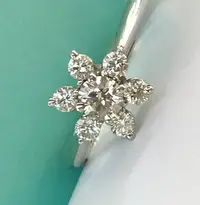 在飛比找Yahoo!奇摩拍賣優惠-Tiffany &Co.附原廠盒 白金鑲 七顆共約0.6 克