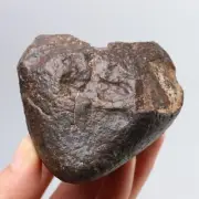 331g Chondrite Meteorite,NWA unclassified Meteorite, From Northwest Africa R960