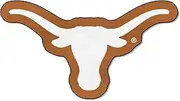 FANMATS NCAA University of Texas Longhorns Nylon Face Mascot Rug
