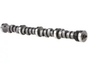For 1966-1968 Ford Thunderbird Camshaft 38734GHXG 1967 (for: Ford)