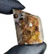 115CT Seymchan pallasite Meteorite SLICE From Russia TA644