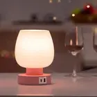 Touch Bedside Table Lamp - Pink Small Lamp Bedroom USB CA Charging Ports 3 Way D