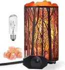 Salt Lamp, Himalayan Salt Lamp, Natural Salt Rock Lamp Desk Bedside Table Lamp N