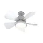 2 in 1 Ceiling Fan Light Remote Control Electric Wireless Fan Bedroom