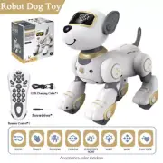 Smart RC Robot ToyTalking Dancing for Kids Programmable Remote Control Dog Toy