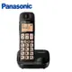 國際牌Panasonic 大字鍵數位無線電話(KX-TGE110TWB)