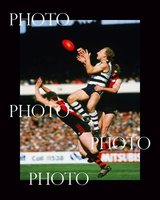 GARY ABLETT Snr GEELONG FC GREAT 8x6 INCH ACTION PHOTO 2
