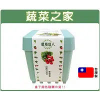 在飛比找momo購物網優惠-【蔬菜之家】iPlant小農場系列-櫻桃蘿蔔(可任意組合盆栽