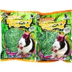 『DO & KAI ★ 寵物日常』PETVILLAGE美國特級 提摩西草 425G 初割 / 二割 全齡兔.天竺鼠適用