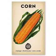 The Little Veggie Patch Co Sweet Corn Heirloom Seeds