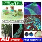 1000Pcs Pebbles Stone Glow in the Dark Rock Fish Tank Stone Garden Road Decor