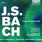 BACH Famous Canatas RUTH HOLTON HOLLAND BOYS CHOIR 5CD BOXSET NEW SEALED