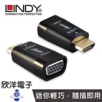 在飛比找蝦皮商城優惠-LINDY台中旗艦店 林帝 HDMI A公 轉 VGA母 迷