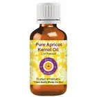 Pure Apricot Kernel Oil (Prunus armeniaca) For Skin & Hair