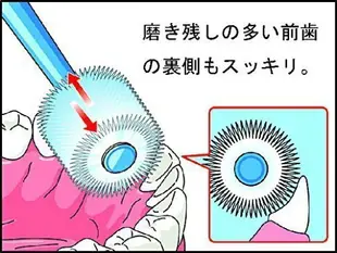 日本品牌【STB Higuchi】蒲公英360°無死角牙刷 爽