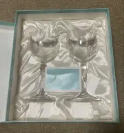 Tiffany & Co. Floret Champagne Wine Glass Pair Set with Box from japan Brand new