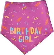 Dog Bandanas Boy, Dog Birthday Boy Bandana Hat Toy, Pet Scarves, Soft Triangle Doggy Scarf Cute Bone Dog Birthday Bandana Bow Adjustable Pet Supplies for Puppy Spring Running