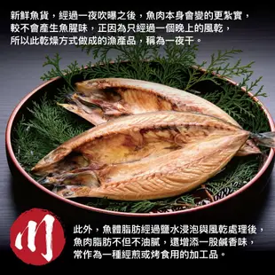 【小川漁屋】 挪威鯖魚一夜干8片(250g±10%/片純重無紙板)