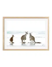 [Profile Australia] Australian Made Kangaroo Beach Art Print A2 in Natural Frame