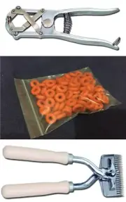 Elastrator Aluminum w/Bands & Two Hand Sheep Clipper-Livestock Llama Alpaca Lamb