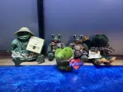 The Country Folks Gardenhopper Bears In The Attic Puffkins Frog Figures Lot