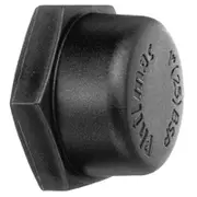 Philmac 1/2" BSP Thread Pipe Cap