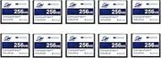 Dogfish 10 Pack 128MB Compact Flash Memory Card High Performance Industrial CF Type I Card FAT16 for Industrial Equipment and Vintage Digital Cameras