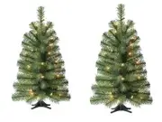 2) 24" Pre-Lit Noble Green Spruce Christmas Tree Clear Incandescent Lights
