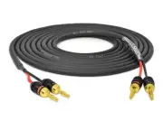 Rush Order Banana Plug Speaker Cable | Gotham 13 AWG SPK 2x2 | 10 Feet