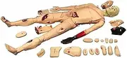 Demonstration Patient Care Manikin Trauma First Aid Simulator Full Body Human Model for Nursing Medical Training Teaching Education