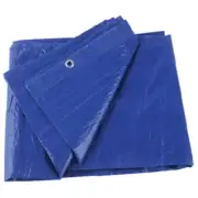 KOTAP AMERICA LTD/TARPS TRA-50100 Tarp Blue Poly 50' X 100' 5Mil