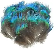 YUMAO Natural Iridescent Blue Peacock Feathers for Crafts 3-5cm/1-2 Jewelry Making Christmas Costume Plumas Plumage Carnival Plumes 0216 (Size : 20 Pcs)