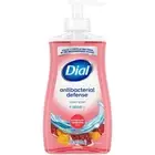 Dial Complete Liquid Hand Soap Pomegranate & Tangerine INNER PACK 12/11oz