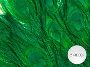 5 Pieces – Kelly Green Bleached & Dyed Peacock Tail Eye Feathers 10-12” Long
