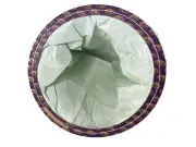 ProTeam 100431 Provac, QuarterVac, AviationVac, Tailvac Bags- 100 bags