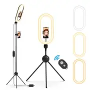 Ring Light with Stand and Phone Holder, 14" Selfie Lights 77" Tall Tripod wit...