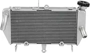 Motorcycle Aluminium Radiator Engine Cooler Cooling ，Compatible With Yamaha MT-03 MT-25 2016-2023